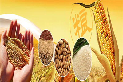 豐園農副食品 深耕糧食加工，守護百姓餐桌安全與營養