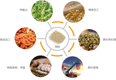 谷實生物成功完成創業板上市輔導，2020年營收突破17億元，糧食加工食品生產領域再添強將