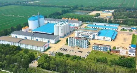 盤錦好糧香飄四海，盛會讓利惠聚八方——探訪糧食加工食品產業的“沃土”